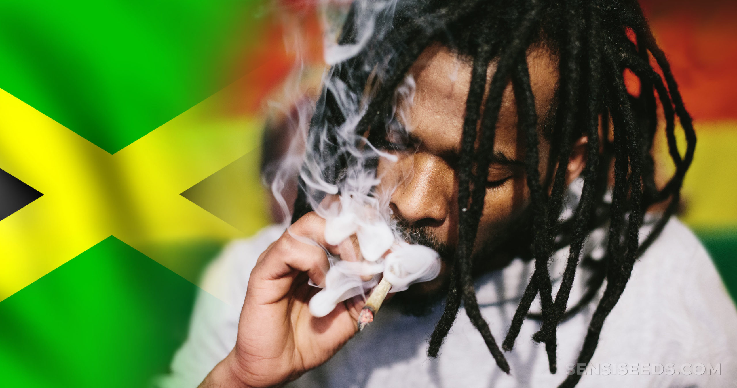 Rasta Ganja