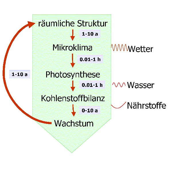 Dynamik rückgekoppelter Systeme: Wachstum