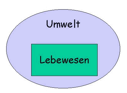 Lebewesen - Umwelt