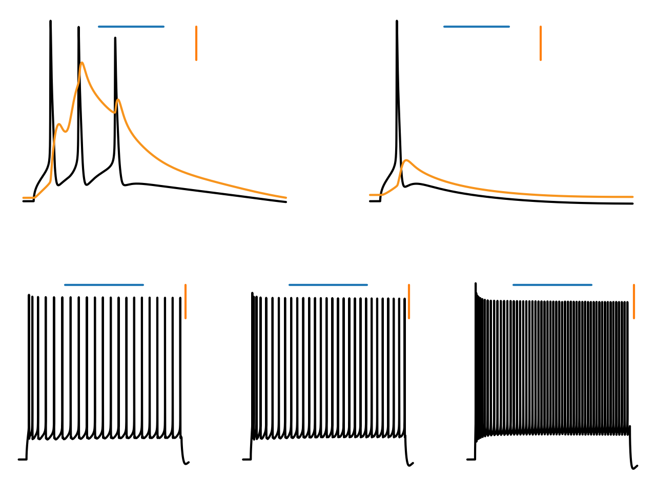 ../../../_images/voltage_traces.png