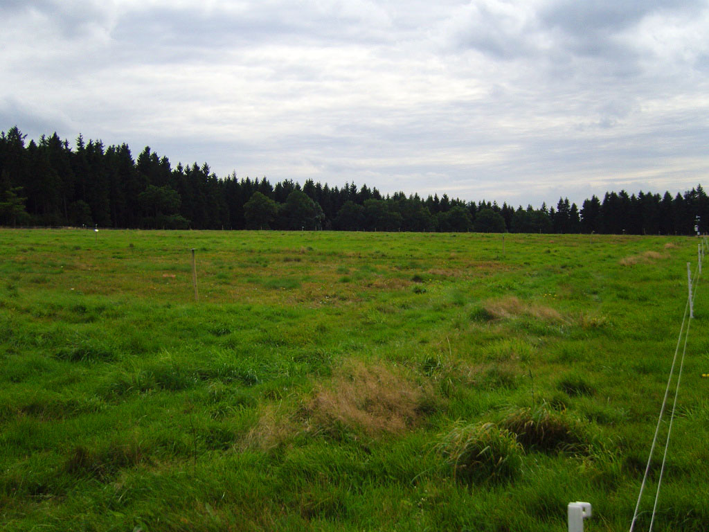 GrassMan Experimental Plots