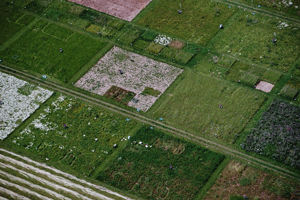 Detailed Aerial View of the Jena Experiment