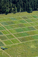 Grassland management experiment