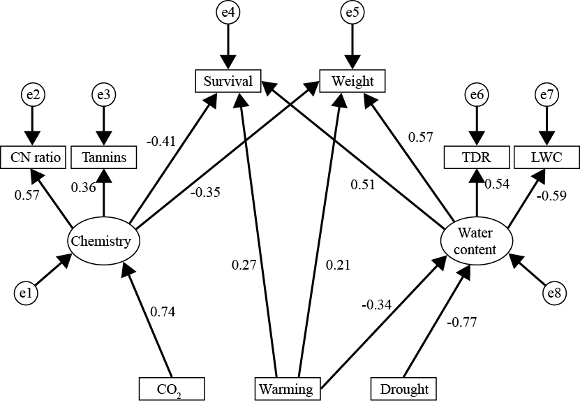 Structural equation model