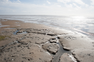 Wadden sea