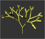 Previous image: tree_model_1