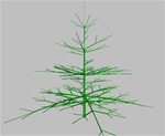 Spruce model