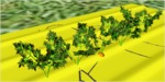 Previous image: carrot_field