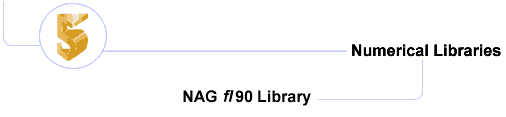 NAG Fortran 90 Library