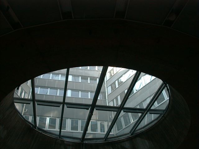 dsc00010.jpg